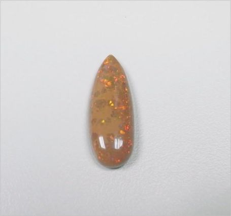 Natural Opal 天然蛋白石