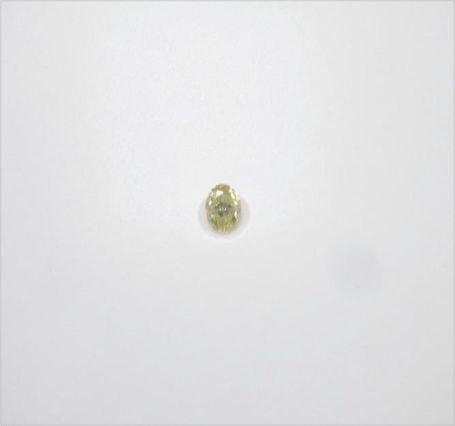 Natural Diamond 天然鑽石